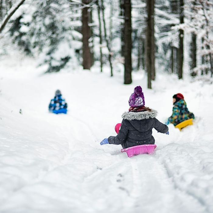 Children sledging down a snowy hill in a forest near Falkensteiner Hotel Sonnenalpe
