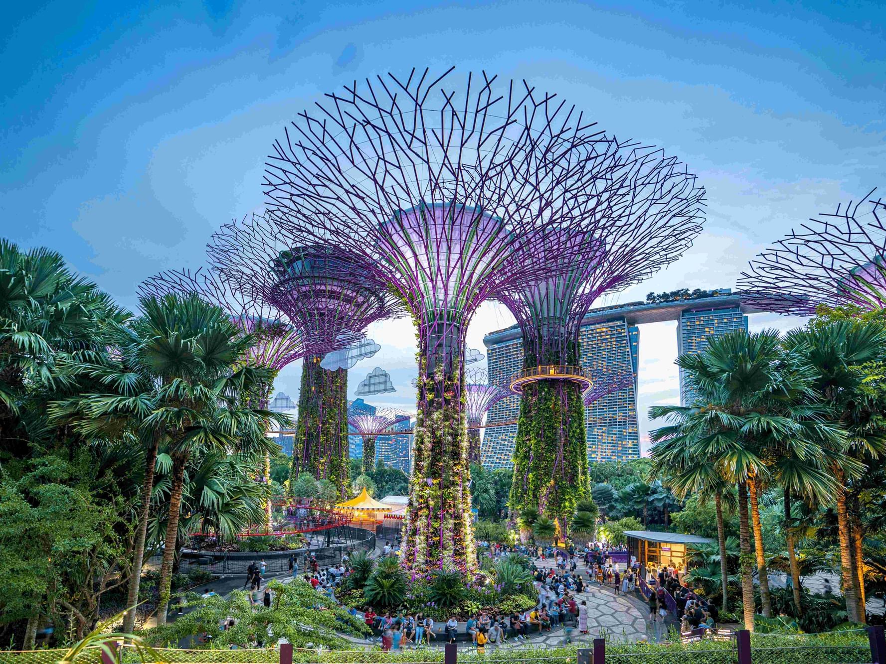 Arial view of Gardens by the Bay near Fullerton Bay Hotel Singapore