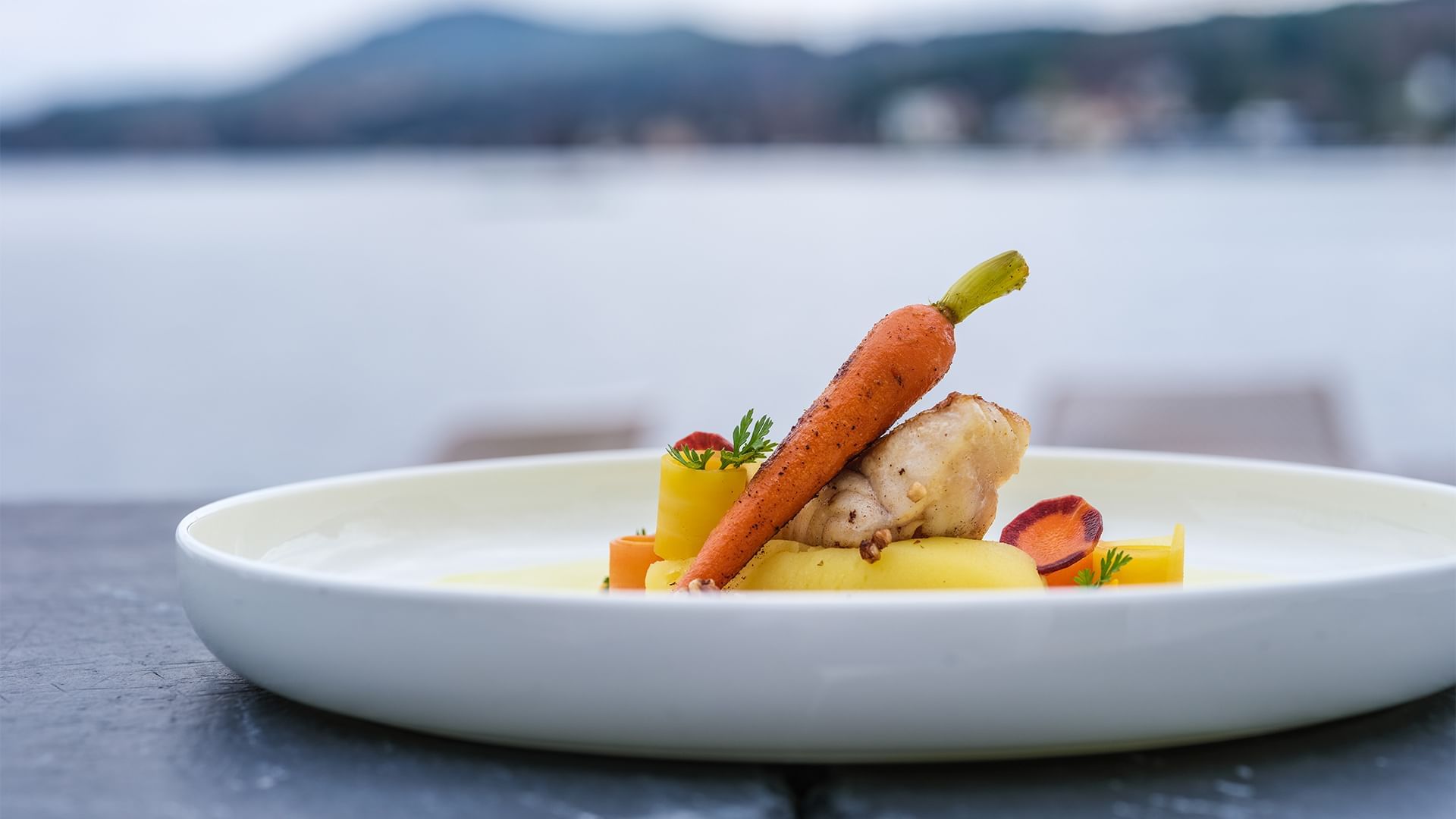 Piatto bianco con carota, verdure e pollo, davanti a uno sfondo sfocato di un lago e una città.