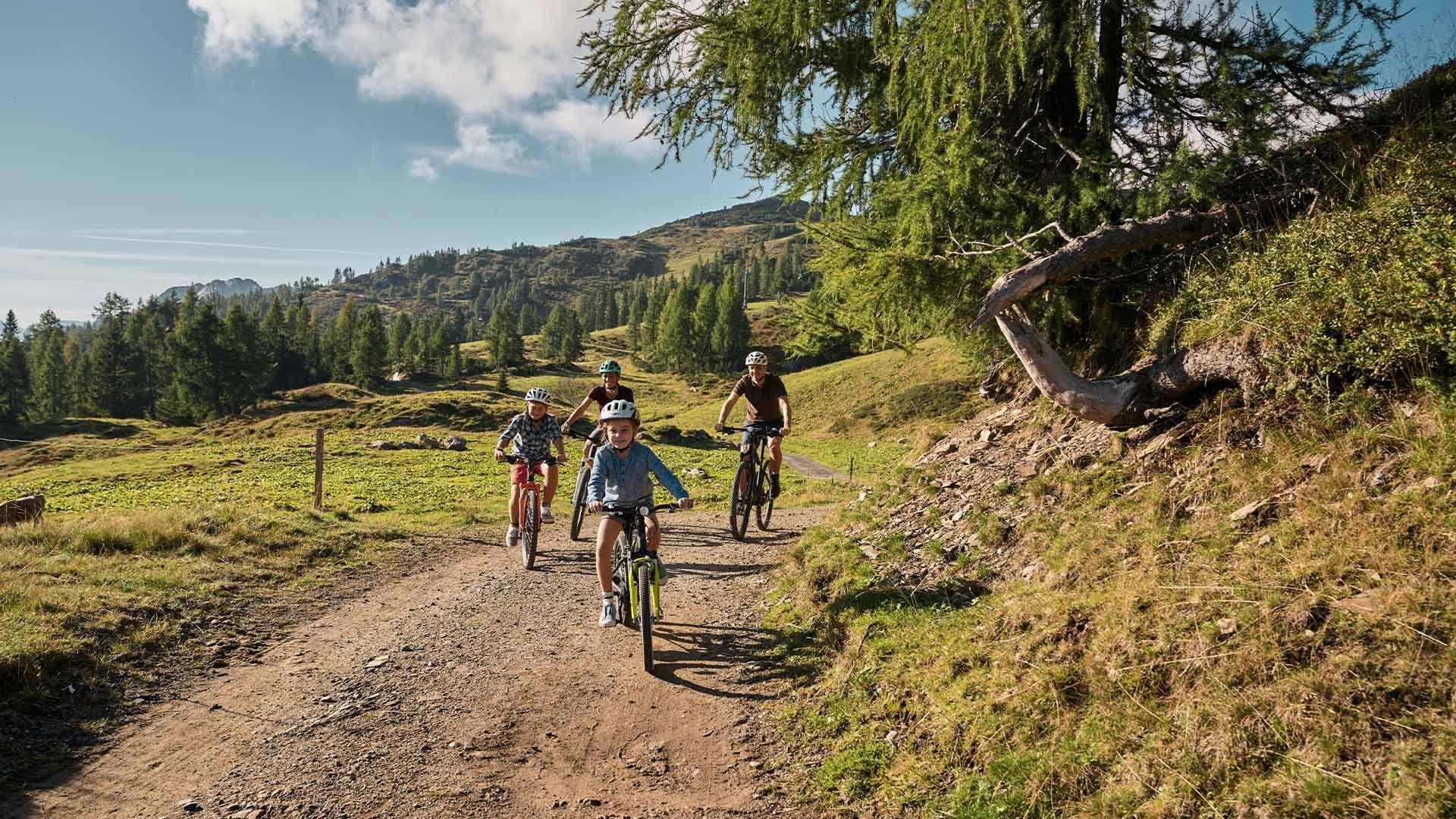 Quattro ciclisti con caschi su un sentiero sterrato circondato da alberi e prati in una giornata di sole.