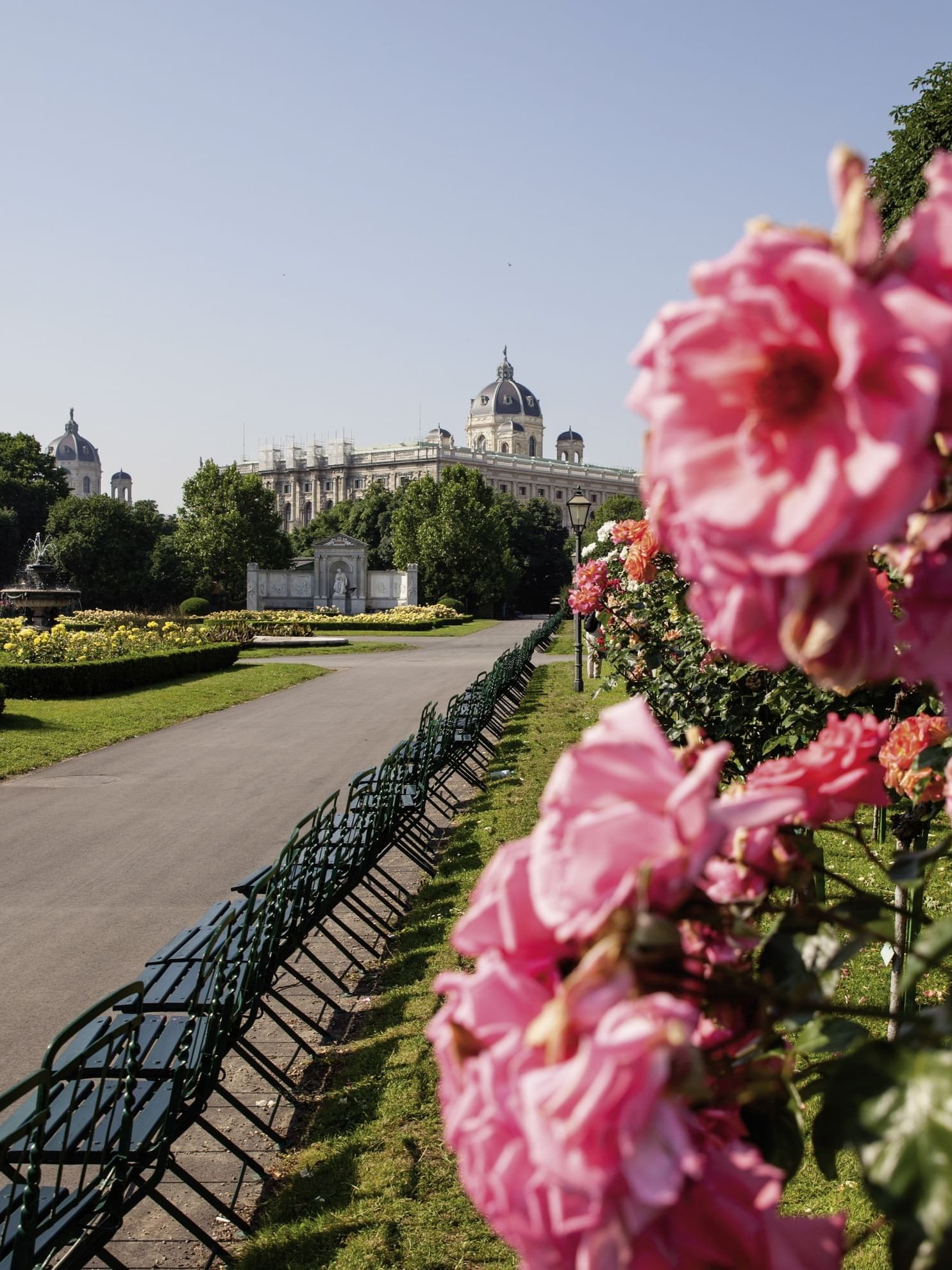 Scenic view of a park pathway lined with blooming roses and park benches, leading to a palace at Almanac Palais Vienna